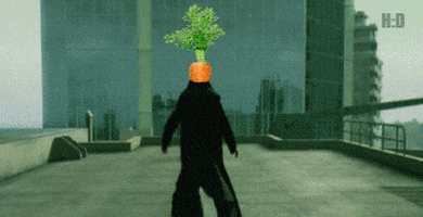 matrix carrot GIF