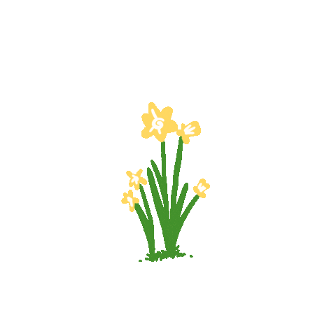 eabirgisson giphyupload Sticker