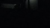 Football Sport GIF by Indianapolis Colts