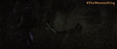 Viola Davis GIF by Sony Pictures