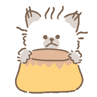 Kitten Ok Sticker by koimoffee