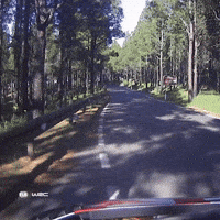 Check Checking GIF by FIA World Rally Championship