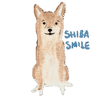 Shibainu Sticker by Andrea Caceres