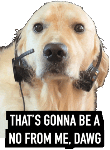 Work No GIF by Rigatoni