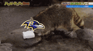 FanDuel reaction sports football meme GIF
