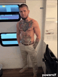 Mcgregor Nurmagomedov GIF