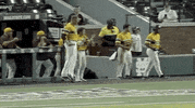 college baseball sport GIF by NCAA Championships