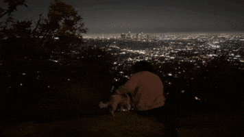 Los Angeles Dog GIF
