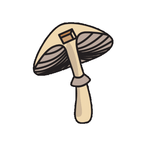 Mushroom Sticker by Fungi Academy