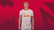 Sport Hello GIF by RB Leipzig