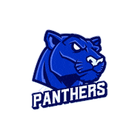 HellcatsCheer panthers hellcats hellcats cheerleaders hellcatscheer Sticker