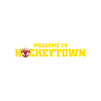 lausitzerfuechse hockeytown lausitzerfüchse weisswasser lausitzerfuechse Sticker
