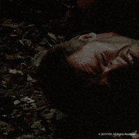 GIF by 20th Century Fox Home Entertainment