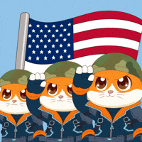 American Usa GIF by Hamieverse