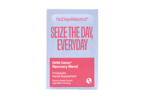 nodayswasted recovery hangover sunday scaries nodayswasted Sticker