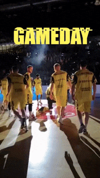 EWE_Baskets basketball gameday bbl oldenburg GIF