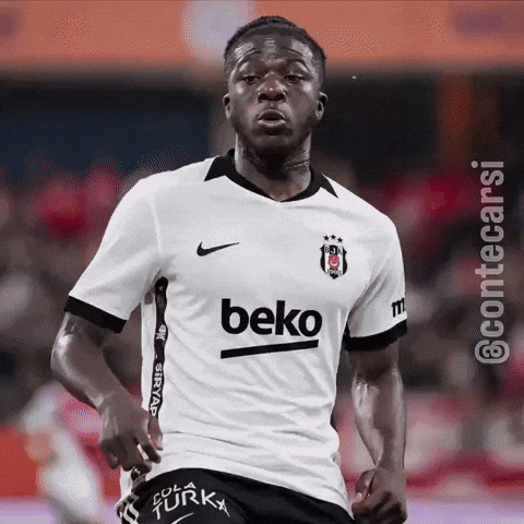 Besiktas GIF