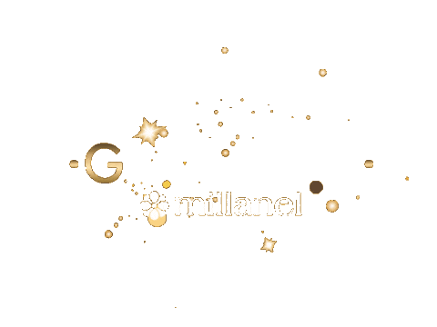 Gala Sticker by Millanel Oficial