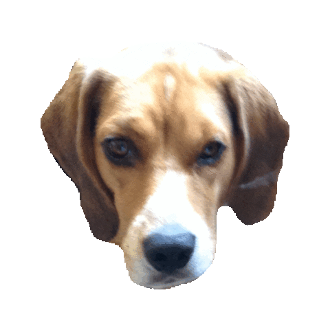 puppie STICKER by imoji