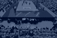 Team Volleyball GIF by SSCPalmbergSchwerin