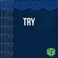 Joe Cokanasiga euro try