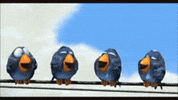 for the birds bird GIF