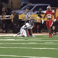 RomeWolvesFootball football celebrate school jump GIF