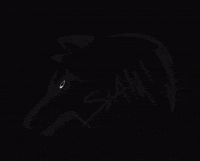 SlamNorth slam wolves gowolves slamnorth GIF