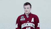 ncaasports hockey college ncaa ice GIF