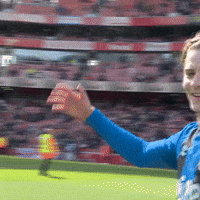 Happy Premier League GIF by AFC Bournemouth