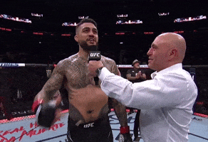 Shoutout All The Dads