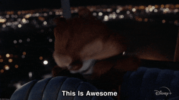 This Is Awesome Chip N Dale GIF by Disney+
