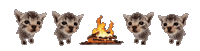 Campfire Cat Dance Sticker