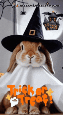 Happy Halloween GIF by Murcianys LLC