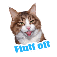 Rexiecat cat cats kitty kitten Sticker