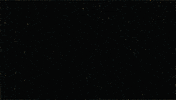 fire bran dougherty-johnson GIF by Yule Log 2.015