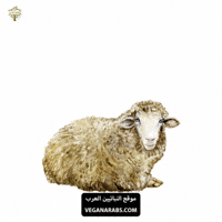 Eid Al-Adha GIF by VeganArabs