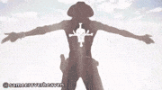 One Piece Ace GIF