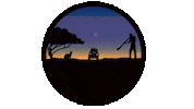Swag Camping Sticker by 4 Wheeling Australia