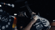 jeff rosenstock pash rash GIF by SideOneDummy Records