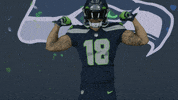 American Football GIF by Seattle Seahawks