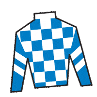 Horse Racing Silk Sticker by Kentucky Derby