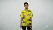 happy borussia dortmund GIF by Bundesliga