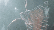 Feelingmyself Imhot GIF by Rubi Rose