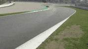 redbullracing car racing race f1 GIF