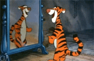 Winnie The Pooh Vegas GIF
