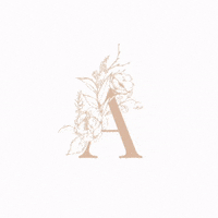 arttrendpl  GIF