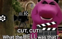 What The Hell Cut GIF