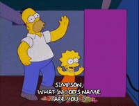 homer simpson episode 20 GIF