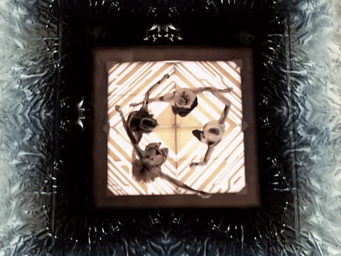 holler GIF by Spice Girls